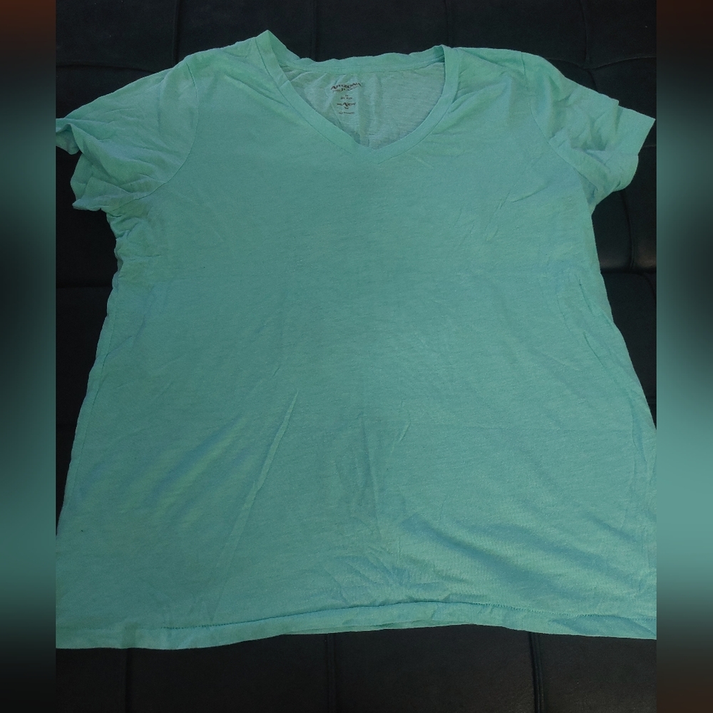 Arizona v-neck tee 2x whiskered mint